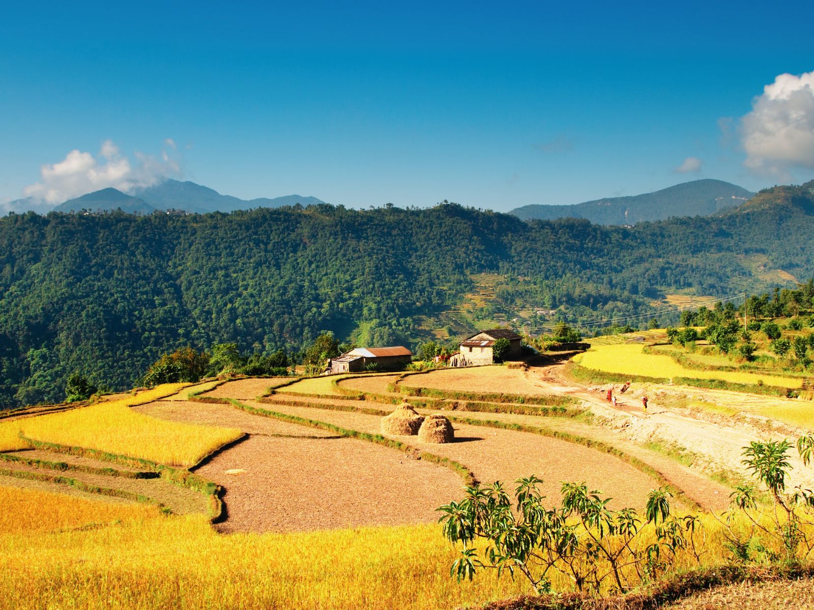 Annapurna Circuit